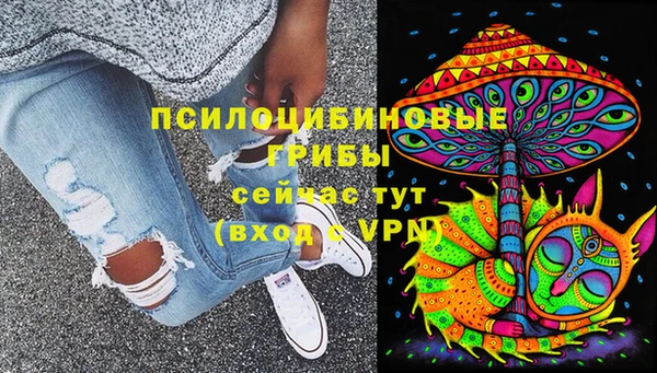 марки lsd Богородицк